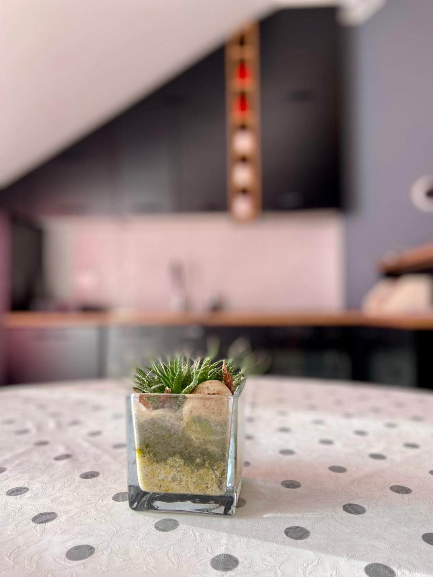Banicevic Apartmani Ðenovići Exteriér fotografie